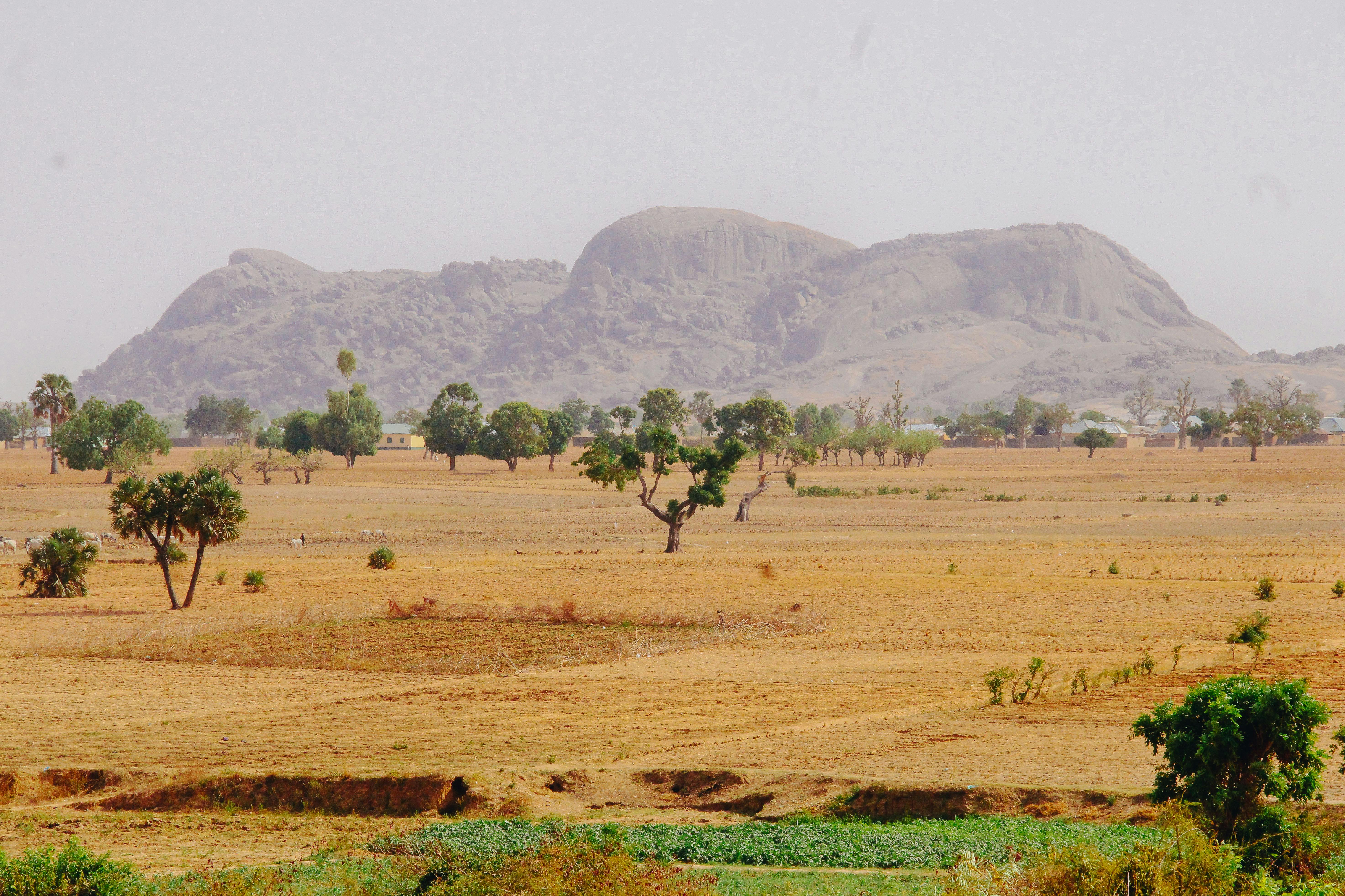 Grand paysage coloré avec plusieurs arbres et reliefs au Tchad