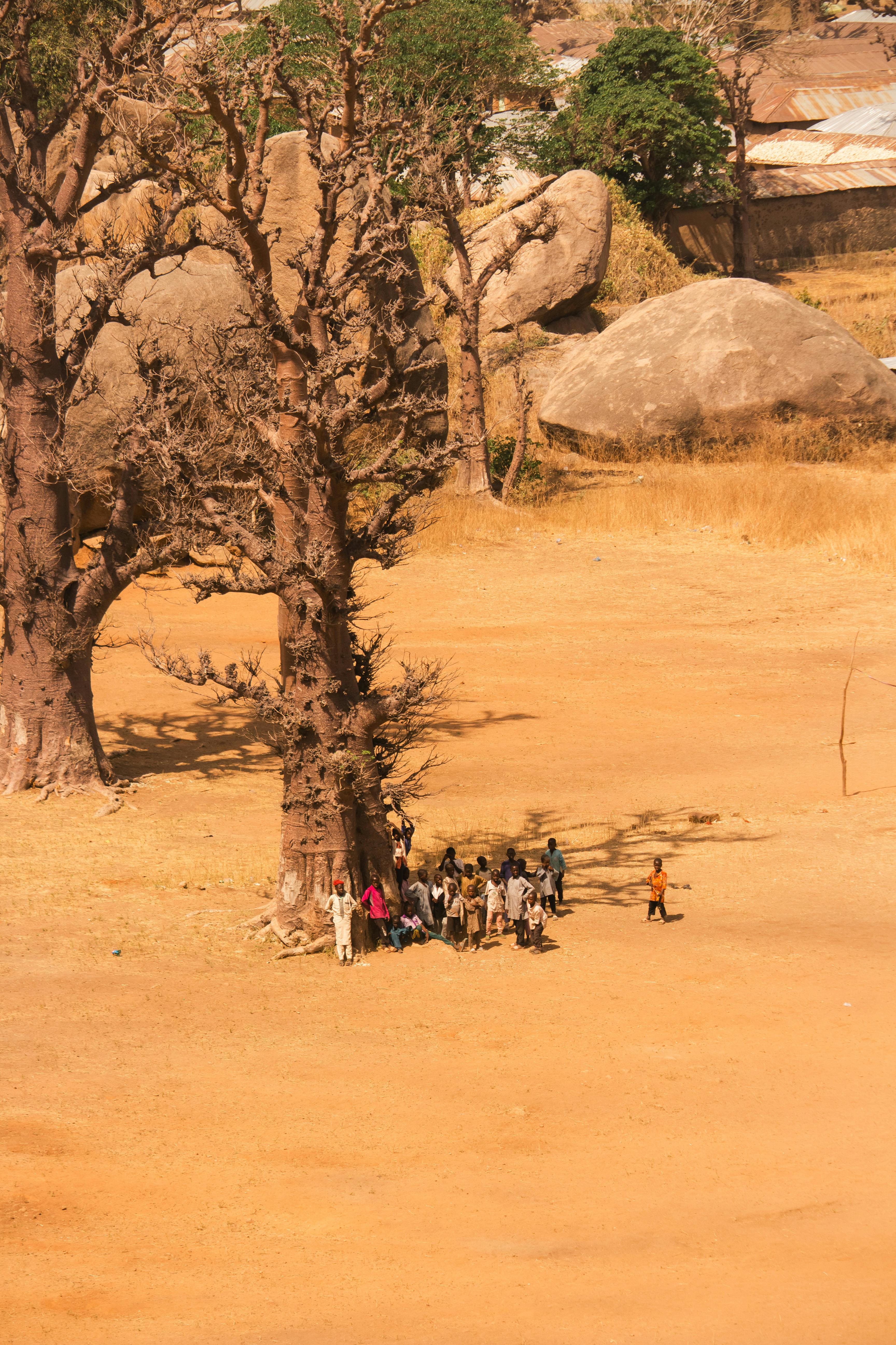 Paysage et scène de vie au Tchad
